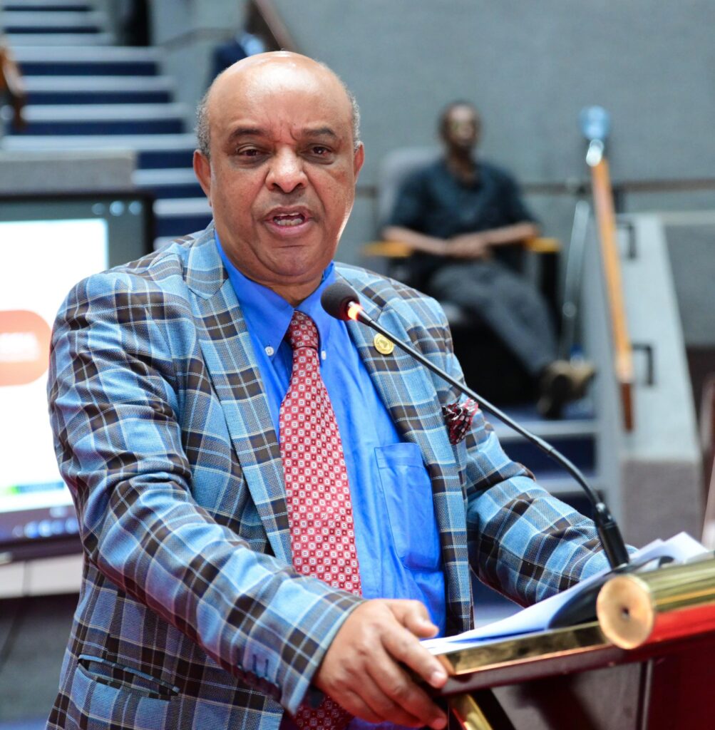 A panellist speaking